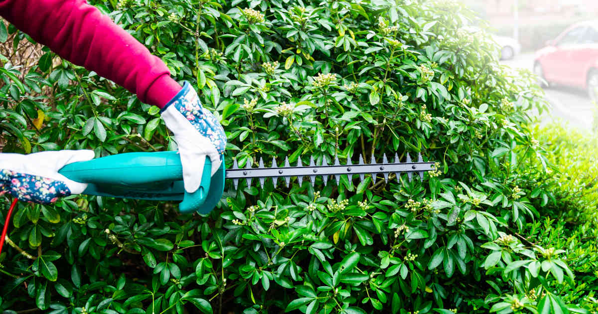 What to Expect During Your First Propane Delivery in NY Image